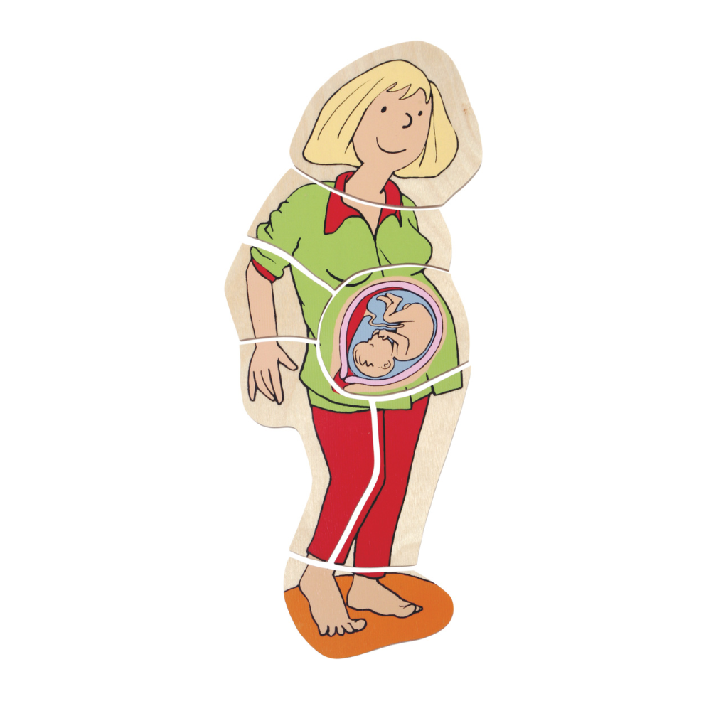 Rompecabezas de etapas del embarazo