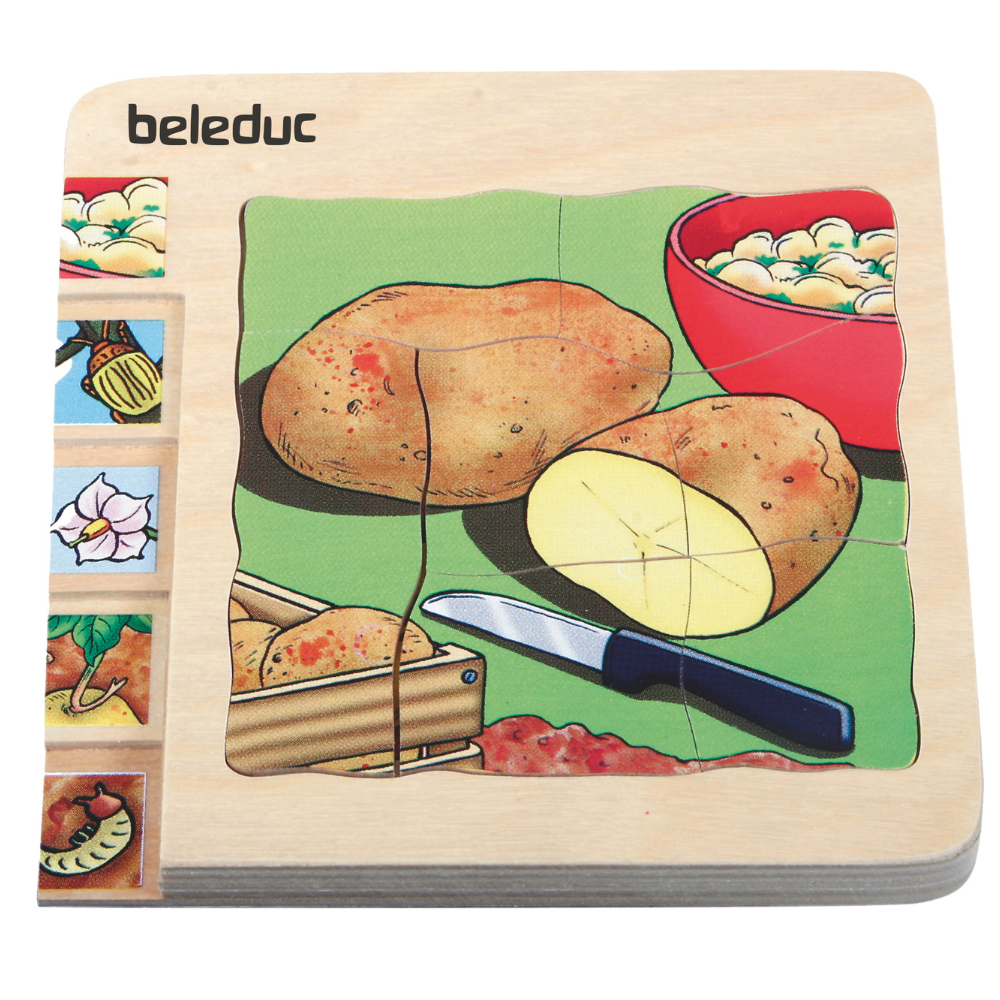 Rompecabezas de las diferentes fases de la papa