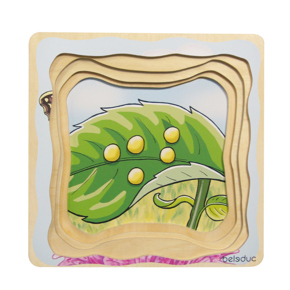 Rompecabezas del ciclo de vida de una mariposa