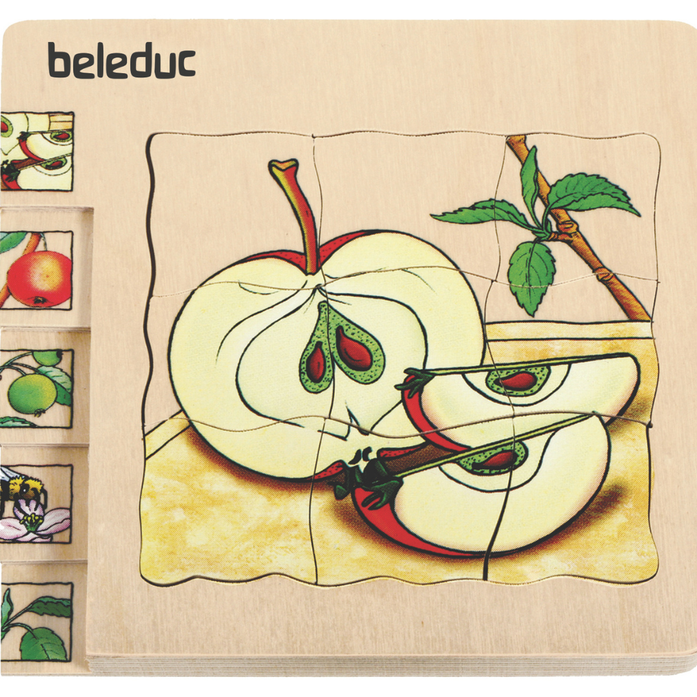 Rompecabezas de las diferentes fases de la manzana