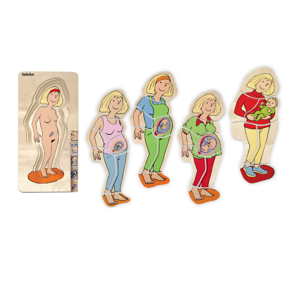 Rompecabezas de etapas del embarazo