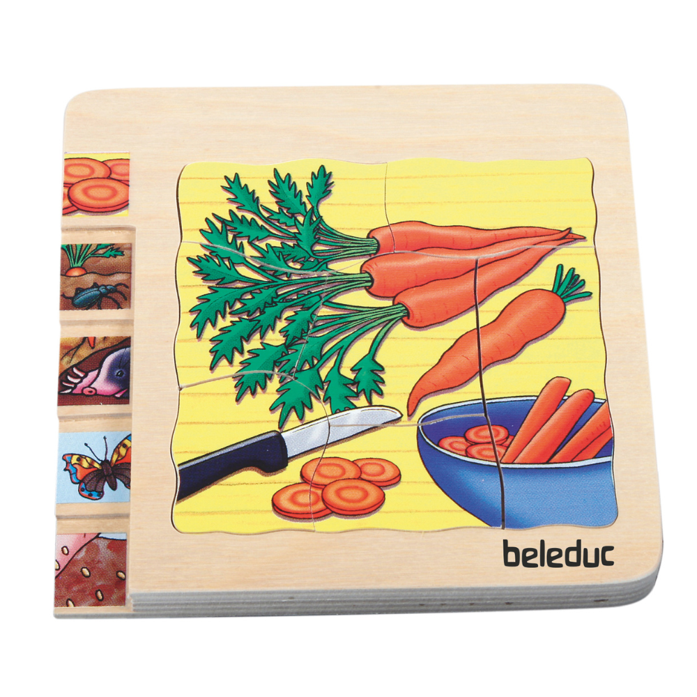 Rompecabezas de las diferentes fases de la zanahoria