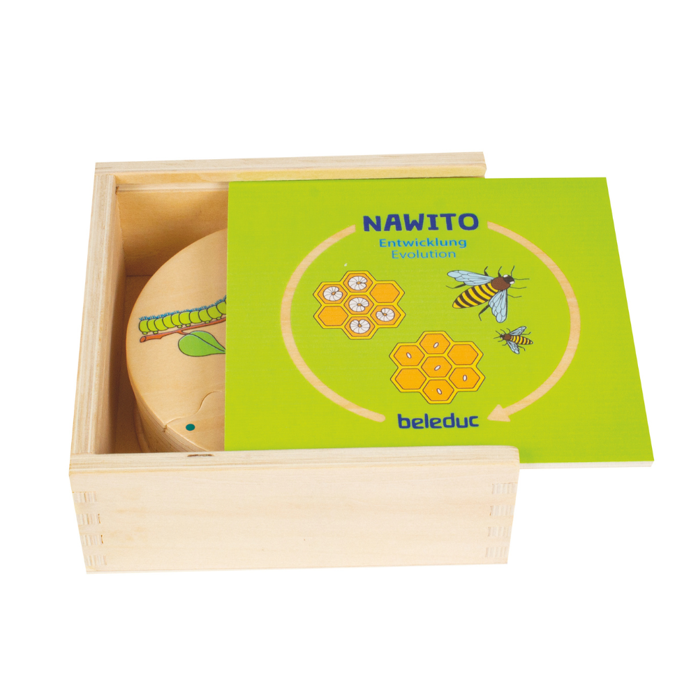 Rompecabezas de los procesos de plantas