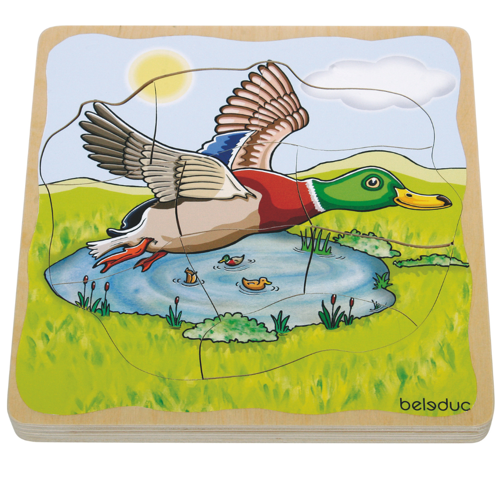 Rompecabezas sobre la vida de los patos