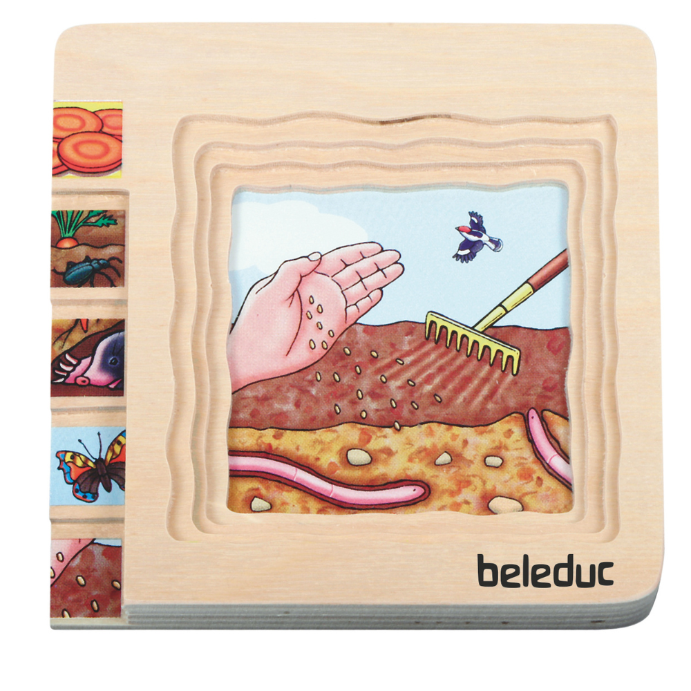 Rompecabezas de las diferentes fases de la zanahoria