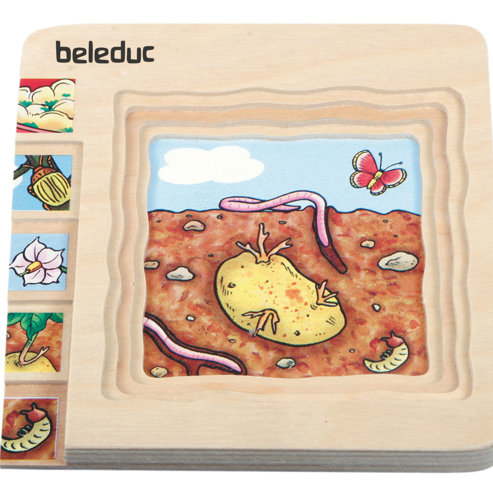 Rompecabezas de las diferentes fases de la papa