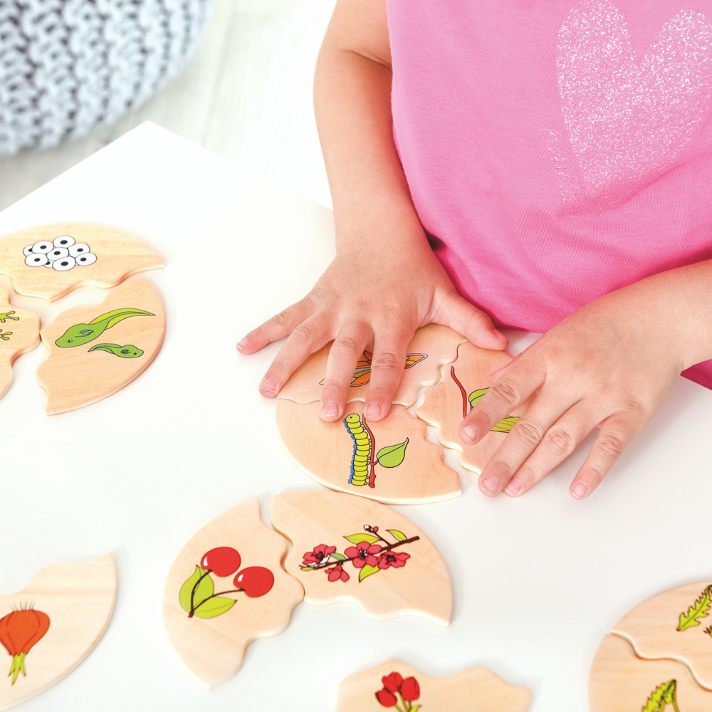 Rompecabezas de los procesos de plantas