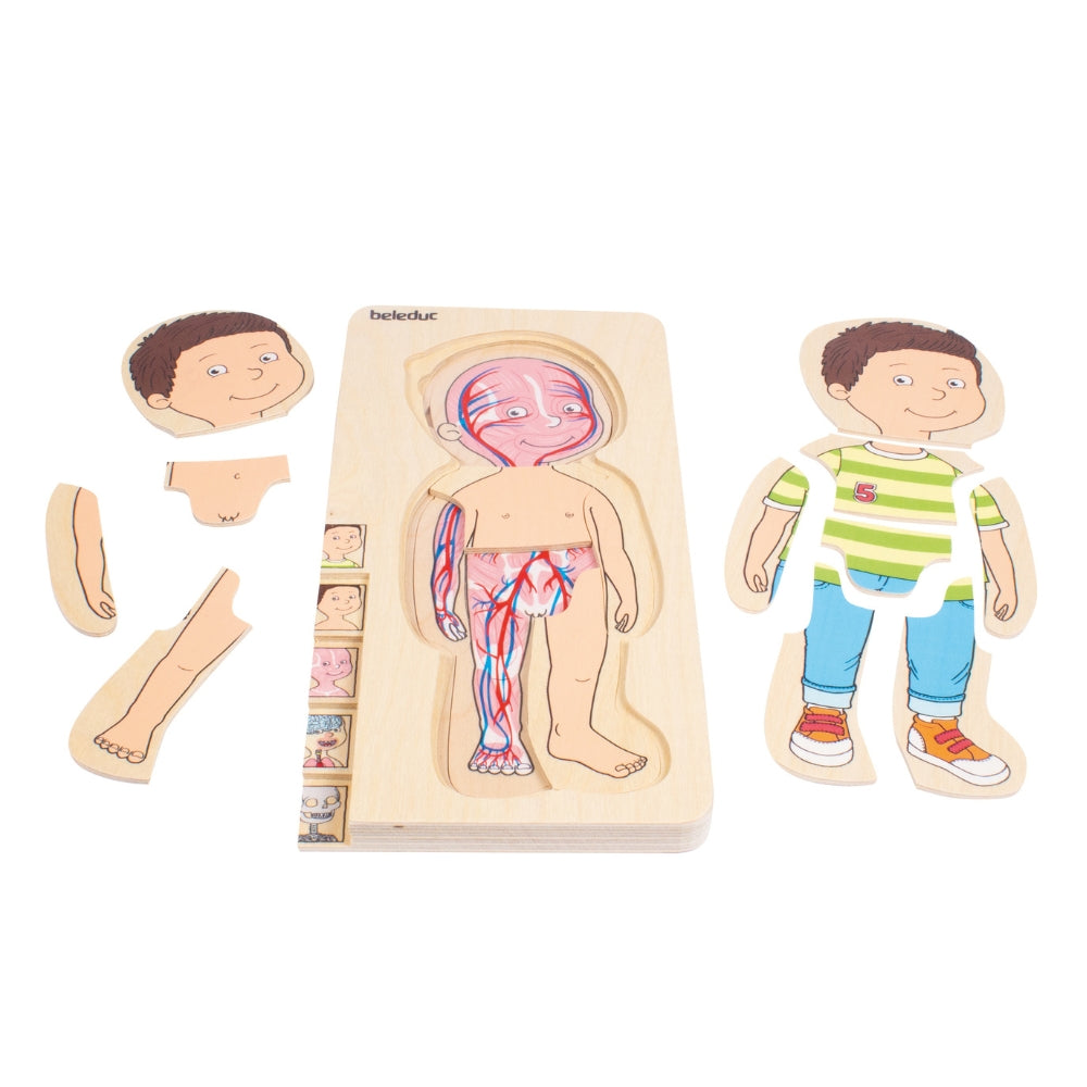 Rompecabezas del Cuerpo Humano