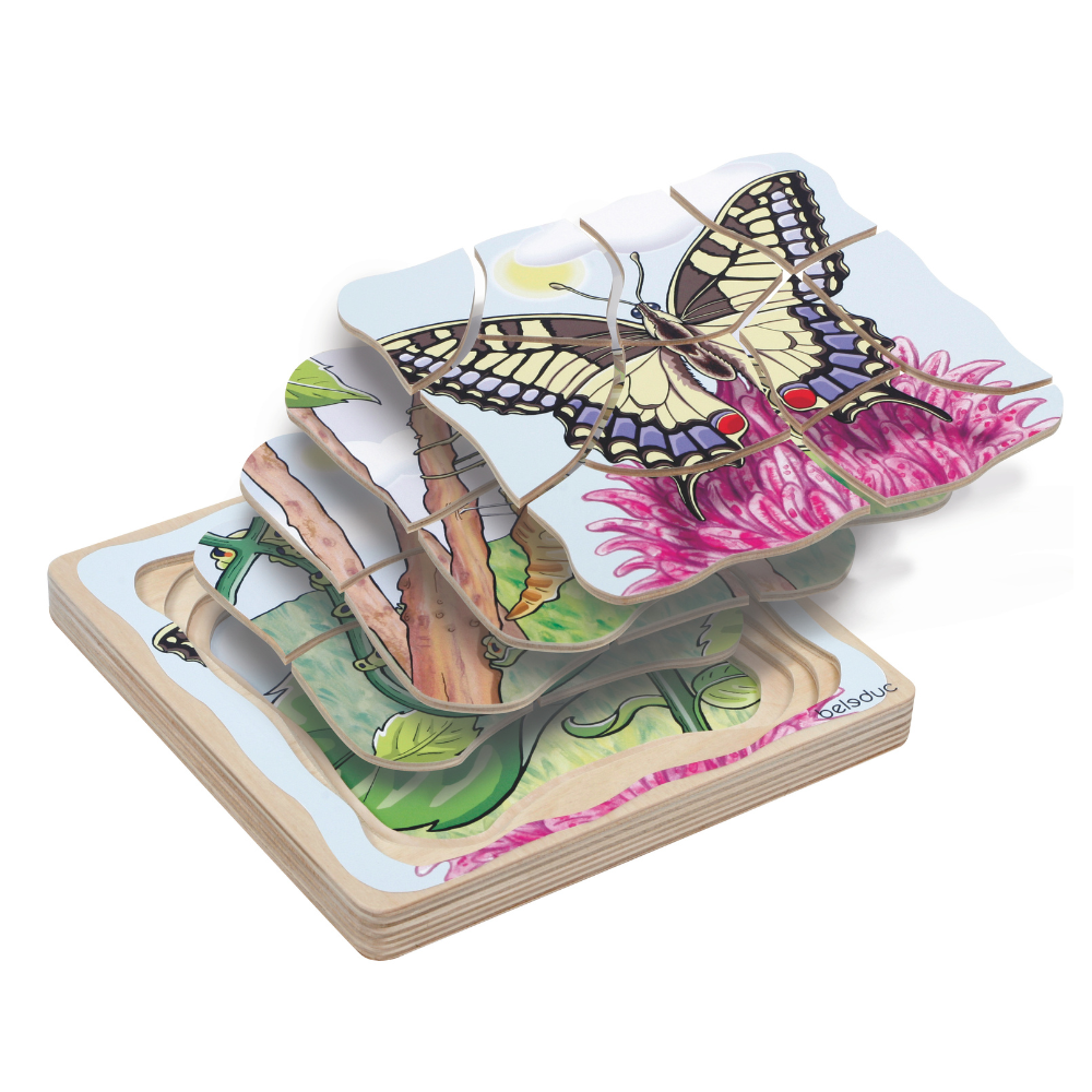 Rompecabezas del ciclo de vida de una mariposa