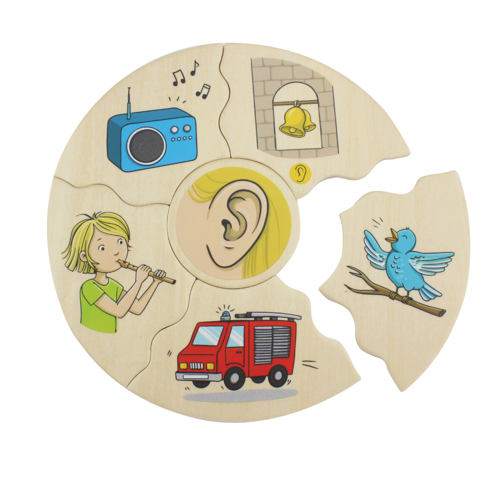 Rompecabezas de los 5 sentidos