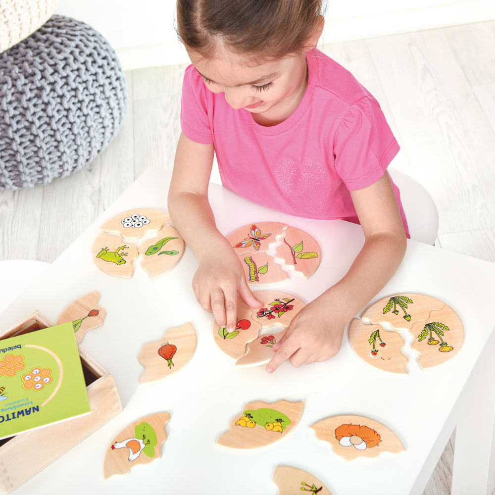 Rompecabezas de los procesos de plantas