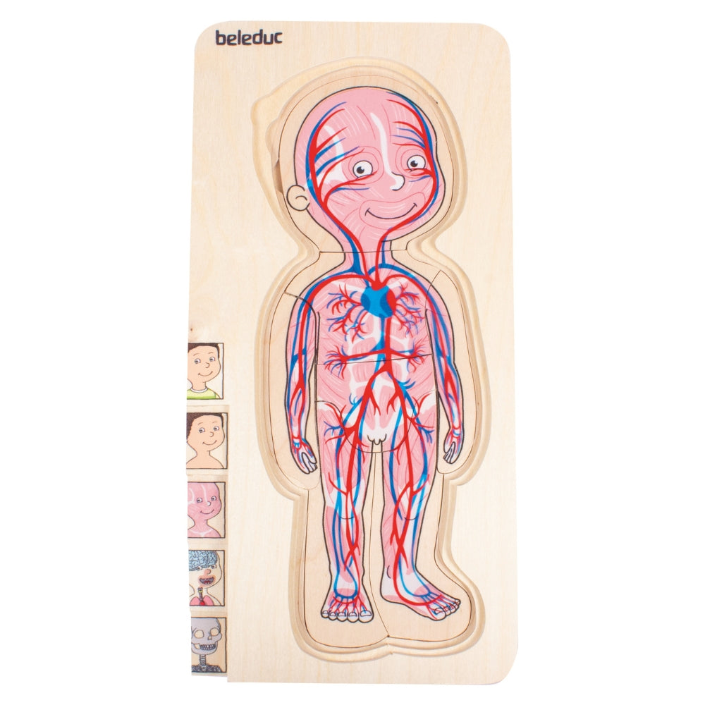 Rompecabezas del Cuerpo Humano