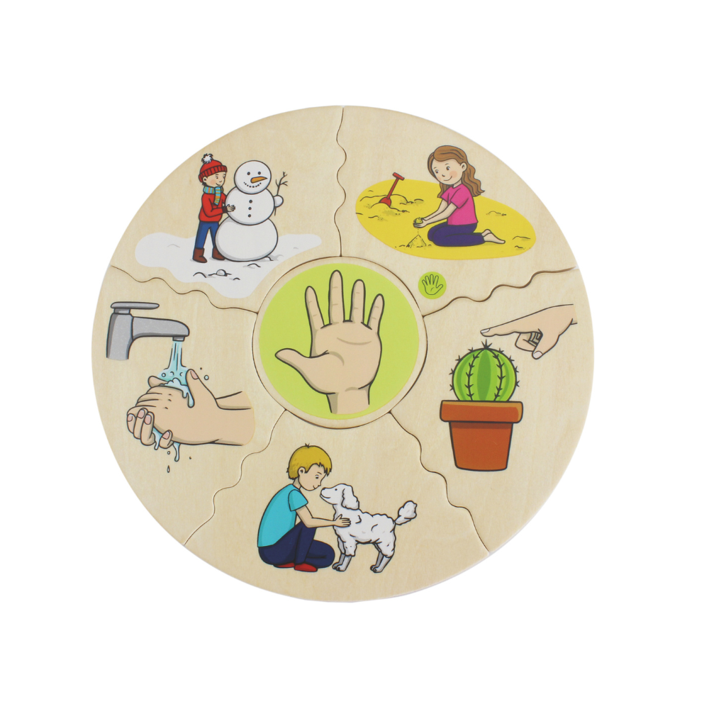 Rompecabezas de los 5 sentidos