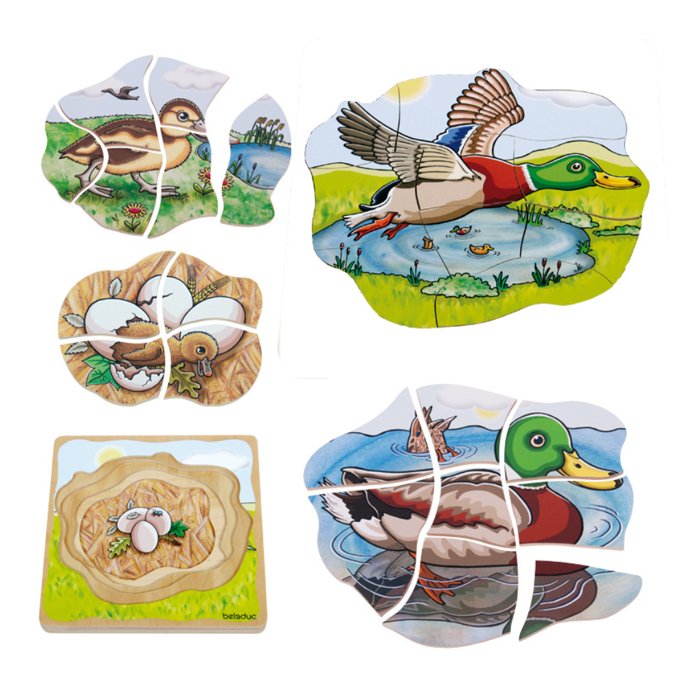 Rompecabezas sobre la vida de los patos