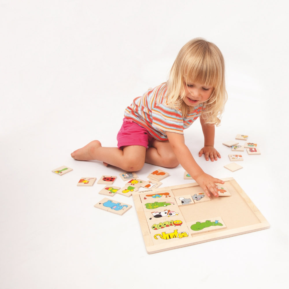 Rompecabezas de Animales Fantásticos