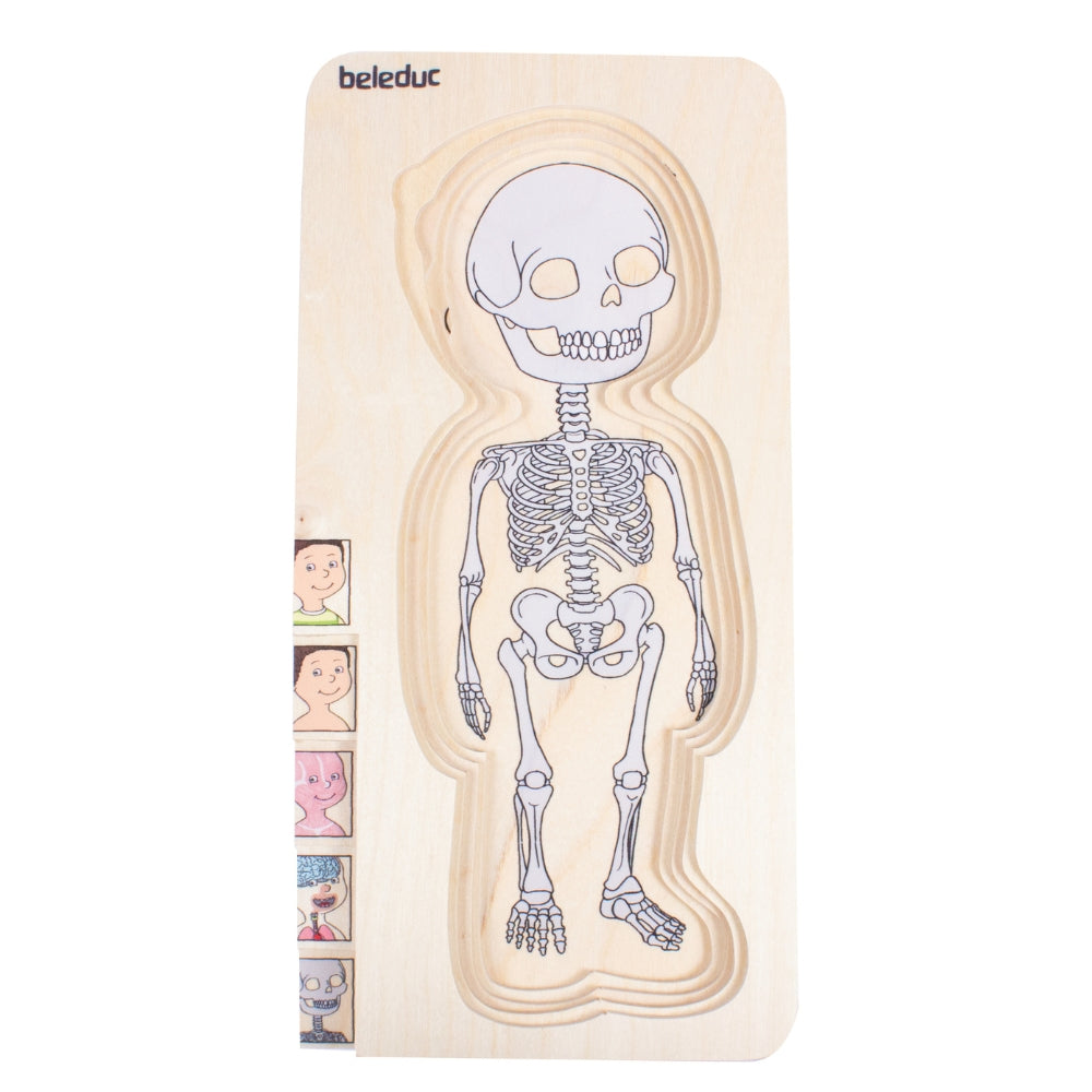 Rompecabezas del Cuerpo Humano