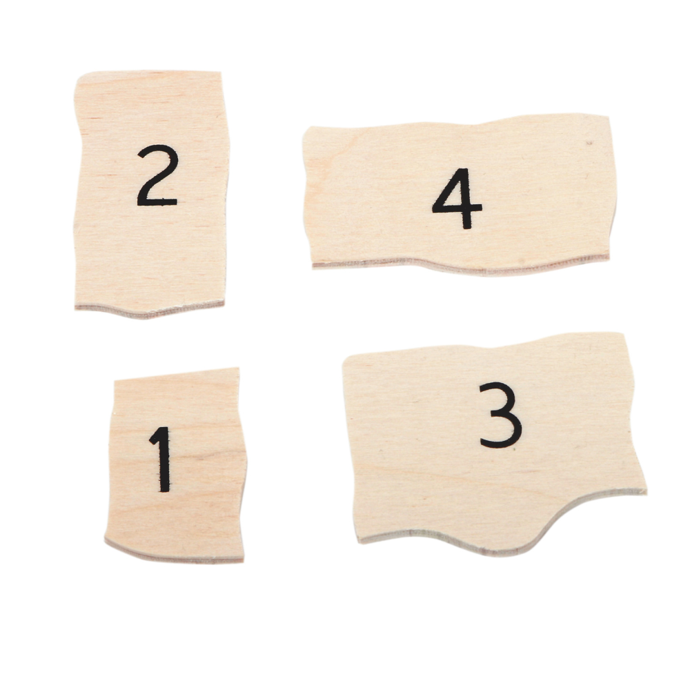 Rompecabezas de las diferentes fases de la zanahoria