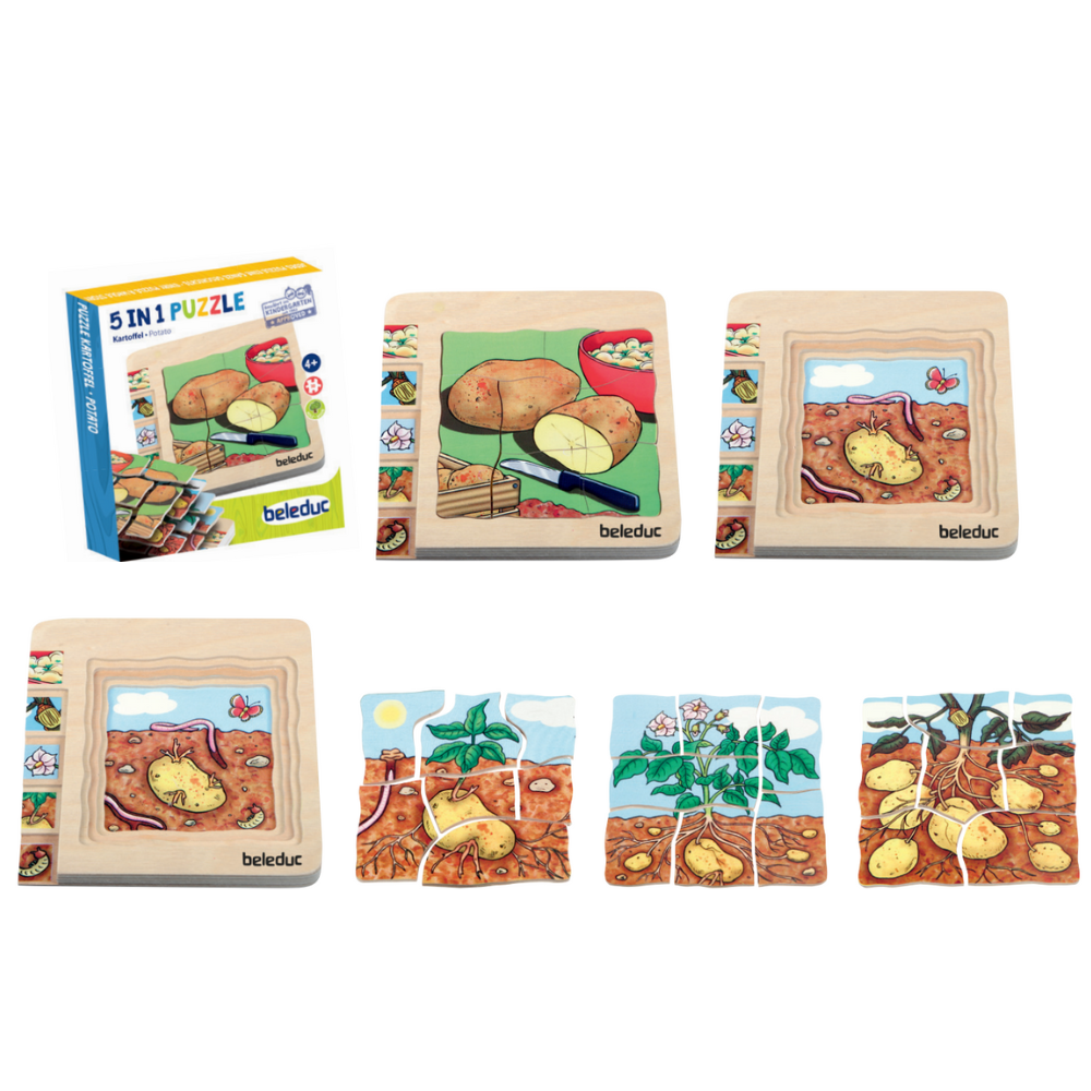 Rompecabezas de las diferentes fases de la papa