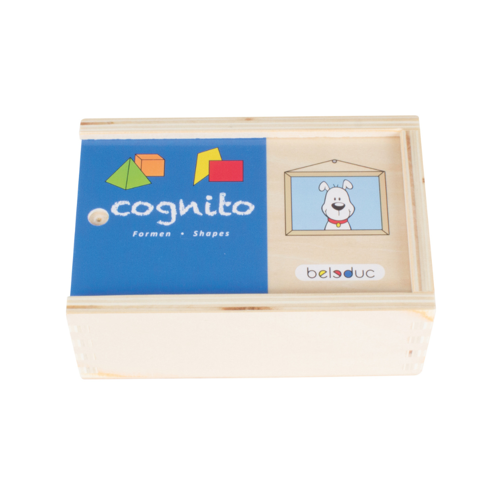 Juego de Reconocimiento de Formas: ¡Descubre el Mundo en 2D y 3D!