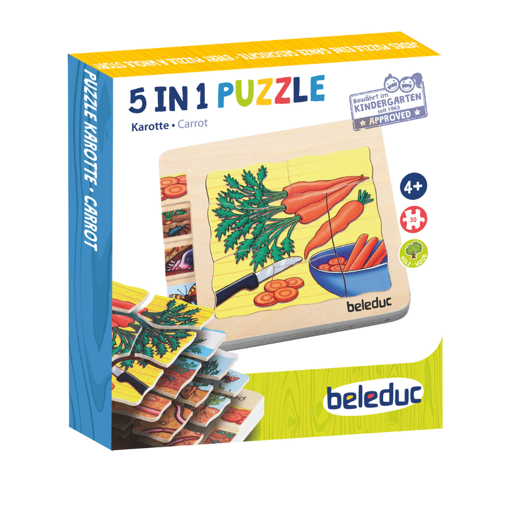 Rompecabezas de las diferentes fases de la zanahoria