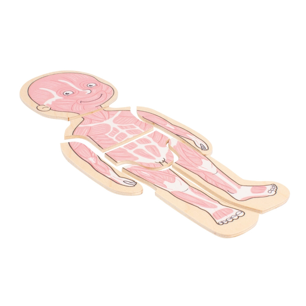 Rompecabezas del Cuerpo Humano