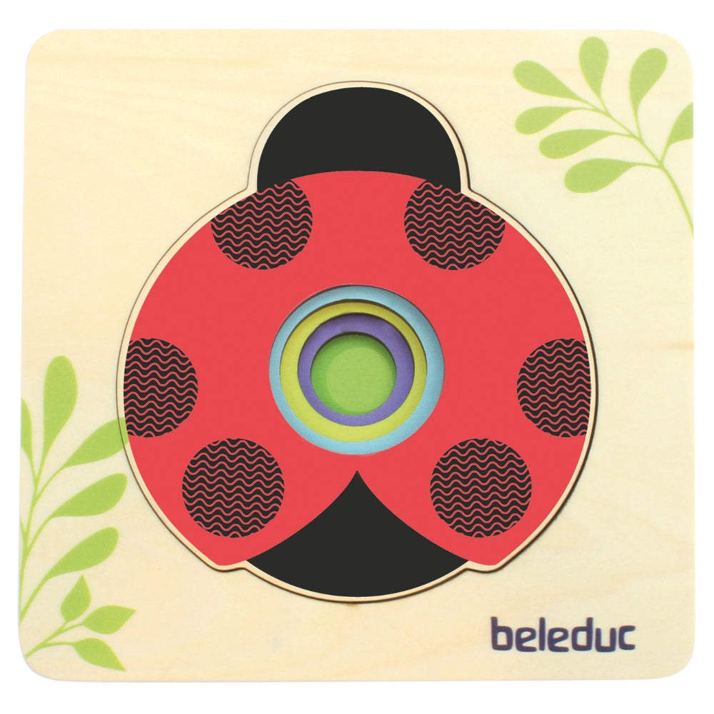 Rompecabezas de Catarina