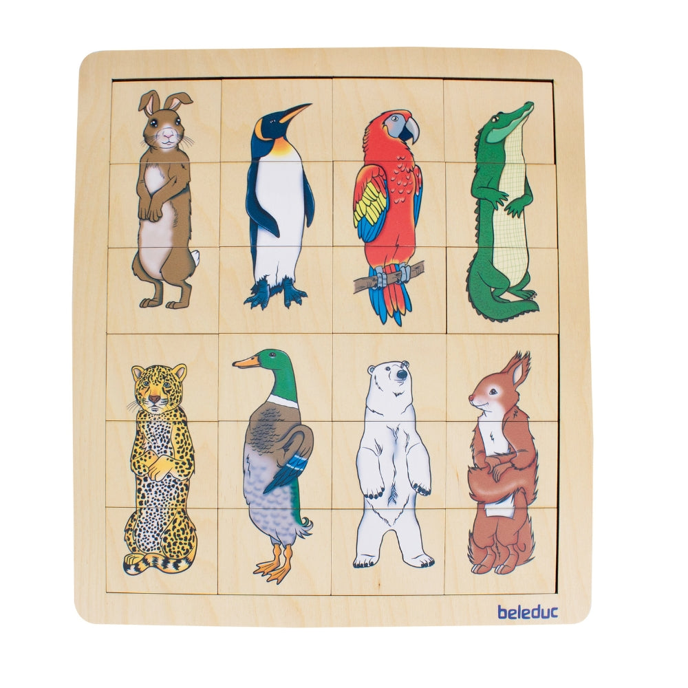 Combina y Mezcla el Reino Animal